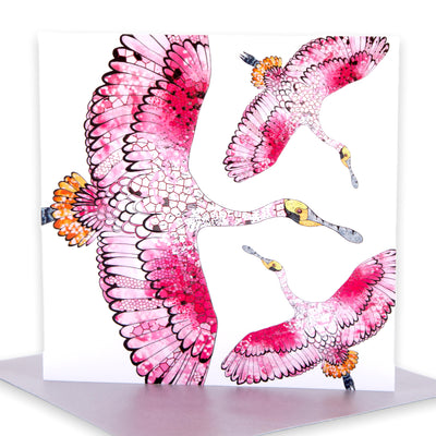    roseate-spoonbill-greeting-cards #style_fly-spoonbill-fly